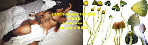 jwh Каменка