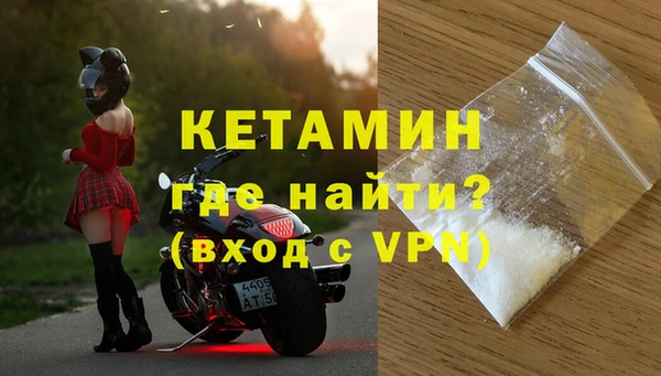 сатива Болотное