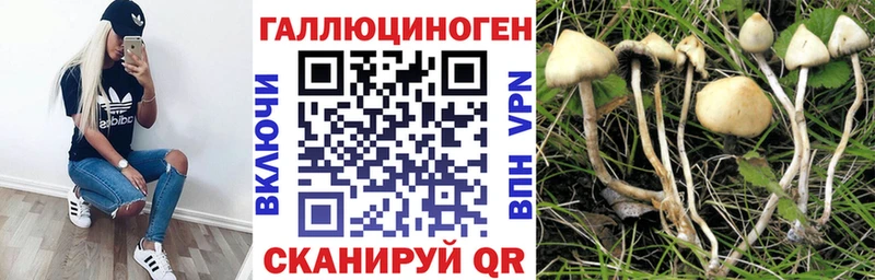 Псилоцибиновые грибы Cubensis  сайты даркнета официальный сайт  Мантурово 